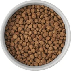 Frisco Cat Print Non-Skid Elevated Ceramic Cat Bowl, Tall -Meowverse Store 256099 PT4. AC SS1800 V1616522538