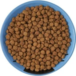 Frisco Cat Face Non-skid Ceramic Cat Dish, Blue 11 Frisco Cat Face Non-skid Ceramic Cat Dish, Blue -Meowverse Store 256101 PT5. AC SS1800 V1615321282