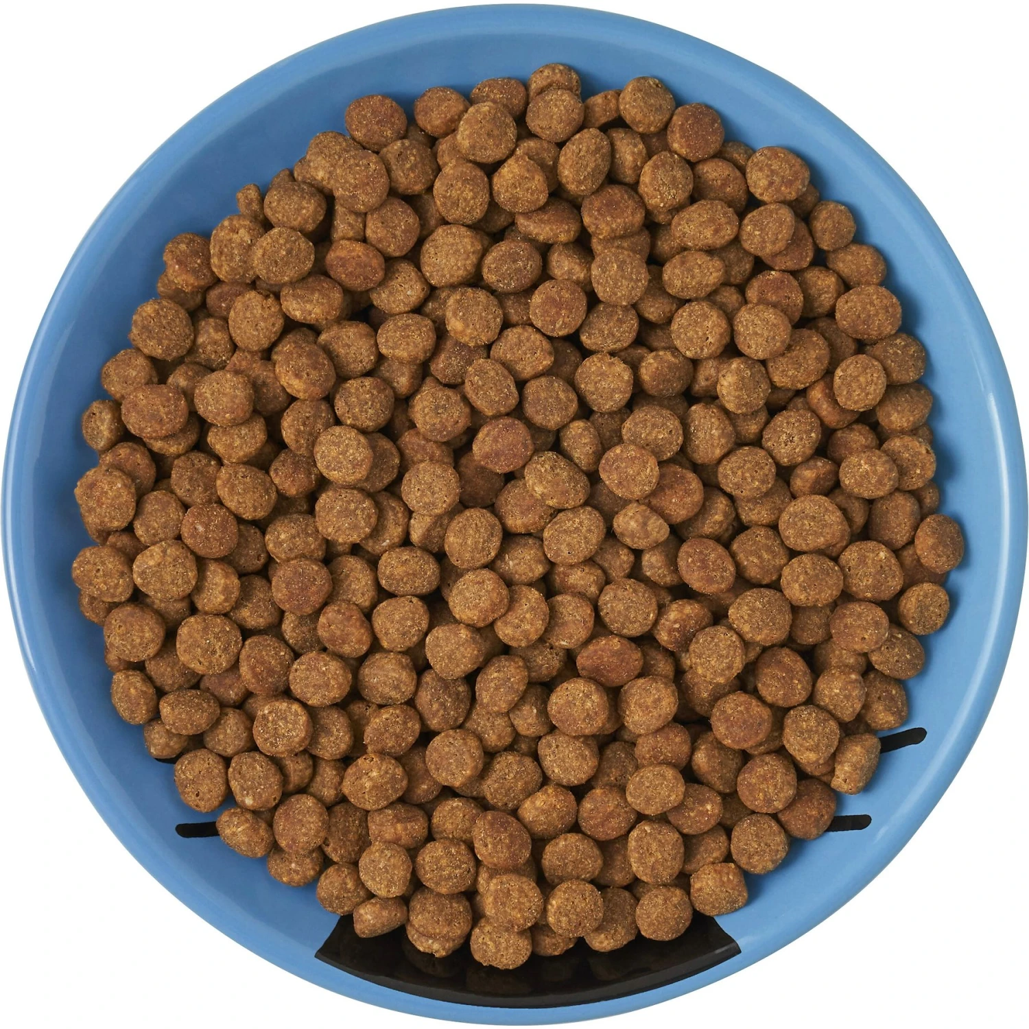 Frisco Cat Face Non-skid Ceramic Cat Dish, Blue 6 Frisco Cat Face Non-skid Ceramic Cat Dish, Blue - Image 6