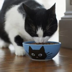 Frisco Cat Face Non-skid Ceramic Cat Bowl, Blue 6 Frisco Cat Face Non-skid Ceramic Cat Bowl, Blue -Meowverse Store 256103 PT4. AC SS1800 V1617997004