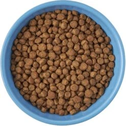 Frisco Cat Face Non-skid Ceramic Cat Bowl, Blue 7 Frisco Cat Face Non-skid Ceramic Cat Bowl, Blue -Meowverse Store 256103 PT5. AC SS1800 V1615312900