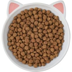 Frisco Cat Face Non-skid Ceramic Cat Dish -Meowverse Store 256105 PT5. AC SS1800 V1615321295