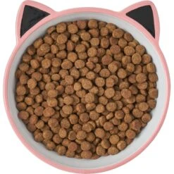 Frisco Cat Face Non-skid Ceramic Cat Bowl, Pink 9 Frisco Cat Face Non-skid Ceramic Cat Bowl, Pink -Meowverse Store 256107 PT5. AC SS1800 V1616522494