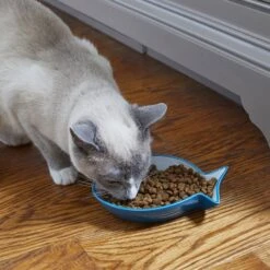 Frisco Fish Shaped Non-skid Ceramic Cat Dish -Meowverse Store 256109 PT3. AC SS1800 V1617196297
