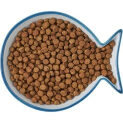 Frisco Fish Shaped Non-skid Ceramic Cat Dish -Meowverse Store 256109 PT6. AC SS1800 V1617196895