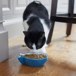 Frisco Fish Shaped Non-skid Ceramic Cat Bowl -Meowverse Store 256111 PT6. AC SS1800 V1617037703