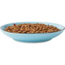 Frisco New York Non-skid Ceramic Cat Dish 12 Frisco New York Non-skid Ceramic Cat Dish -Meowverse Store 256119 PT5. AC SS1800 V1618494742