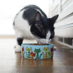 Frisco New York Non-skid Ceramic Cat Bowl -Meowverse Store 256121 PT2. AC SS1800 V1615312331