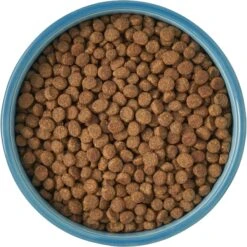 Frisco New York Non-skid Ceramic Cat Bowl -Meowverse Store 256121 PT5. AC SS1800 V1615311387