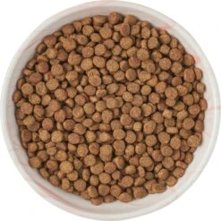 Frisco Marble Design Non-skid Ceramic Cat Bowl -Meowverse Store 256125 PT5. AC SS1800 V1615311382