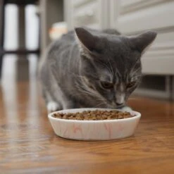 Frisco Marble Design Non-skid Ceramic Cat Bowl -Meowverse Store 256125 PT6. AC SS1800 V1617037714