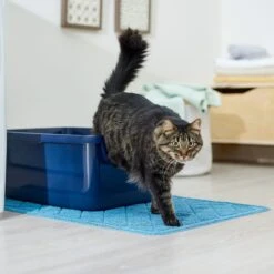 Frisco Quilted Cat Litter Mat -Meowverse Store 258210 PT3. AC SS1800 V1675279933