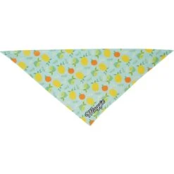 Frisco Citrus Personalized Dog & Cat Bandana -Meowverse Store 258758 PT3. AC SS1800 V1619559797