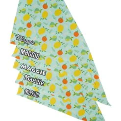 Frisco Citrus Personalized Dog & Cat Bandana -Meowverse Store 258758 PT4. AC SS1800 V1619558899