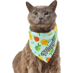 Frisco Citrus Personalized Dog & Cat Bandana -Meowverse Store 258758 PT7. AC SS1800 V1619560408