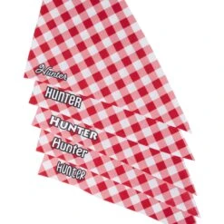 Frisco Gingham Personalized Dog & Cat Bandana 13 Frisco Gingham Personalized Dog & Cat Bandana -Meowverse Store 258775 PT4. AC SS1800 V1619558858