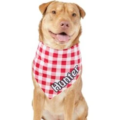 Frisco Gingham Personalized Dog & Cat Bandana 15 Frisco Gingham Personalized Dog & Cat Bandana -Meowverse Store 258775 PT6. AC SS1800 V1619558303