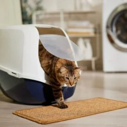 Frisco Sisal Mat -Meowverse Store 259250 PT3. AC SS1800 V1675279993