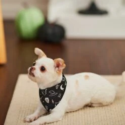 Frisco Glow In The Dark Mystical Print Dog & Cat Bandana 14 Frisco Glow In The Dark Mystical Print Dog & Cat Bandana -Meowverse Store 261218 PT5. AC SS1800 V1633057869