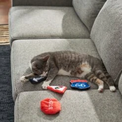 Frisco Road Trip Traffic Signs Plush Cat Toy With Catnip -Meowverse Store 262024 PT3. AC SS1800 V1618598335