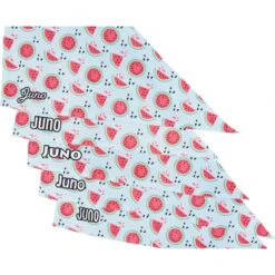 Frisco Watermelons Personalized Dog & Cat Bandana -Meowverse Store 267458 PT4. AC SS1800 V1632428809