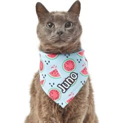 Frisco Watermelons Personalized Dog & Cat Bandana -Meowverse Store 267458 PT7. AC SS1800 V1632432684
