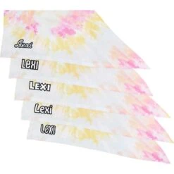 Frisco Tiedye Personalized Dog & Cat Bandana -Meowverse Store 267482 PT4. AC SS1800 V1632416499