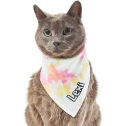 Frisco Tiedye Personalized Dog & Cat Bandana -Meowverse Store 267482 PT7. AC SS1800 V1632420107
