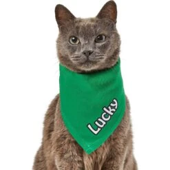 Frisco Solid Color Personalized Dog & Cat Bandana -Meowverse Store 267489 PT7. AC SS1800 V1632431774