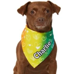 Frisco Rainbow Hearts Personalized Dog & Cat Bandana 14 Frisco Rainbow Hearts Personalized Dog & Cat Bandana -Meowverse Store 267539 PT5. AC SS1800 V1632432071