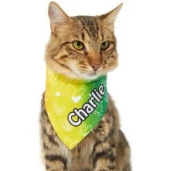 Frisco Rainbow Hearts Personalized Dog & Cat Bandana 15 Frisco Rainbow Hearts Personalized Dog & Cat Bandana -Meowverse Store 267539 PT6. AC SS1800 V1632420703