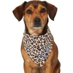 Frisco Leopard Print Personalized Dog & Cat Bandana -Meowverse Store 267543 PT7. AC SS1800 V1623164552