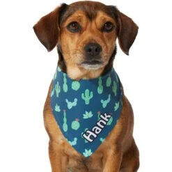 Frisco Cactus Personalized Dog & Cat Bandana 14 Frisco Cactus Personalized Dog & Cat Bandana -Meowverse Store 267551 PT7. AC SS1800 V1623164614
