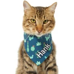 Frisco Cactus Personalized Dog & Cat Bandana 15 Frisco Cactus Personalized Dog & Cat Bandana -Meowverse Store 267551 PT8. AC SS1800 V1623164657