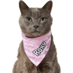 Frisco Pink Camo Personalized Dog & Cat Bandana 15 Frisco Pink Camo Personalized Dog & Cat Bandana -Meowverse Store 267567 PT8. AC SS1800 V1623164559