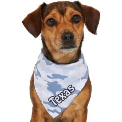 Frisco Gray Camo Personalized Dog & Cat Bandana 14 Frisco Gray Camo Personalized Dog & Cat Bandana -Meowverse Store 267571 PT7. AC SS1800 V1623164679