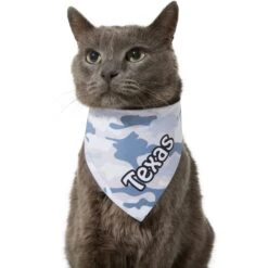 Frisco Gray Camo Personalized Dog & Cat Bandana 15 Frisco Gray Camo Personalized Dog & Cat Bandana -Meowverse Store 267571 PT8. AC SS1800 V1623164301
