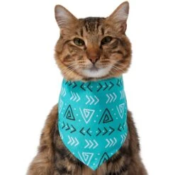 Frisco Geometric Dog & Cat Bandana 11 Frisco Geometric Dog & Cat Bandana -Meowverse Store 267907 PT3. AC SS1800 V1637678544