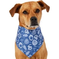 Frisco Fall Vibes Dog & Cat Bandana -Meowverse Store 267913 PT2. AC SS1800 V1637722647