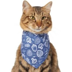 Frisco Fall Vibes Dog & Cat Bandana -Meowverse Store 267913 PT3. AC SS1800 V1637729806
