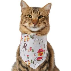 Frisco Wintry Vibes Dog & Cat Bandana -Meowverse Store 267916 PT3. AC SS1800 V1637657814