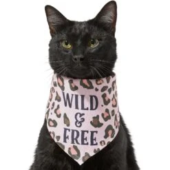 Frisco Pink Leopard Dog & Cat Bandana 11 Frisco Pink Leopard Dog & Cat Bandana -Meowverse Store 267922 PT3. AC SS1800 V1637687868