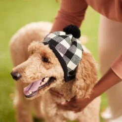 Frisco Plaid Dog & Cat Knitted Hat 9 Frisco Plaid Dog & Cat Knitted Hat -Meowverse Store 267925 PT8. AC SS1800 V1629755603