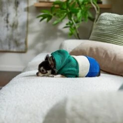 Frisco Colorblock Dog & Cat Hoodie With Sleeves -Meowverse Store 267968 PT8. AC SS1800 V1629760135