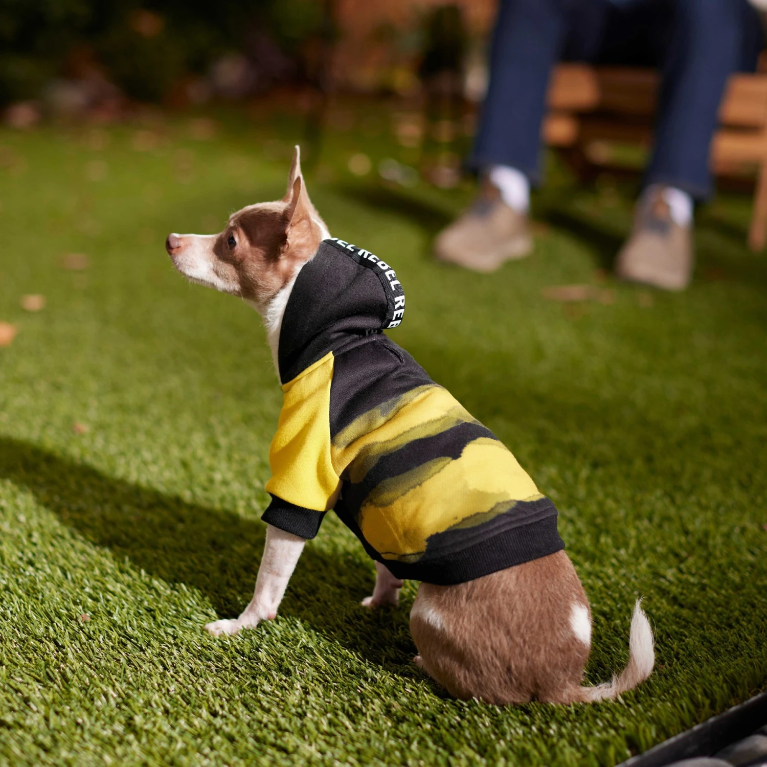 Frisco Rebel Dog & Cat Hoodie 7 Frisco Rebel Dog & Cat Hoodie - Image 7