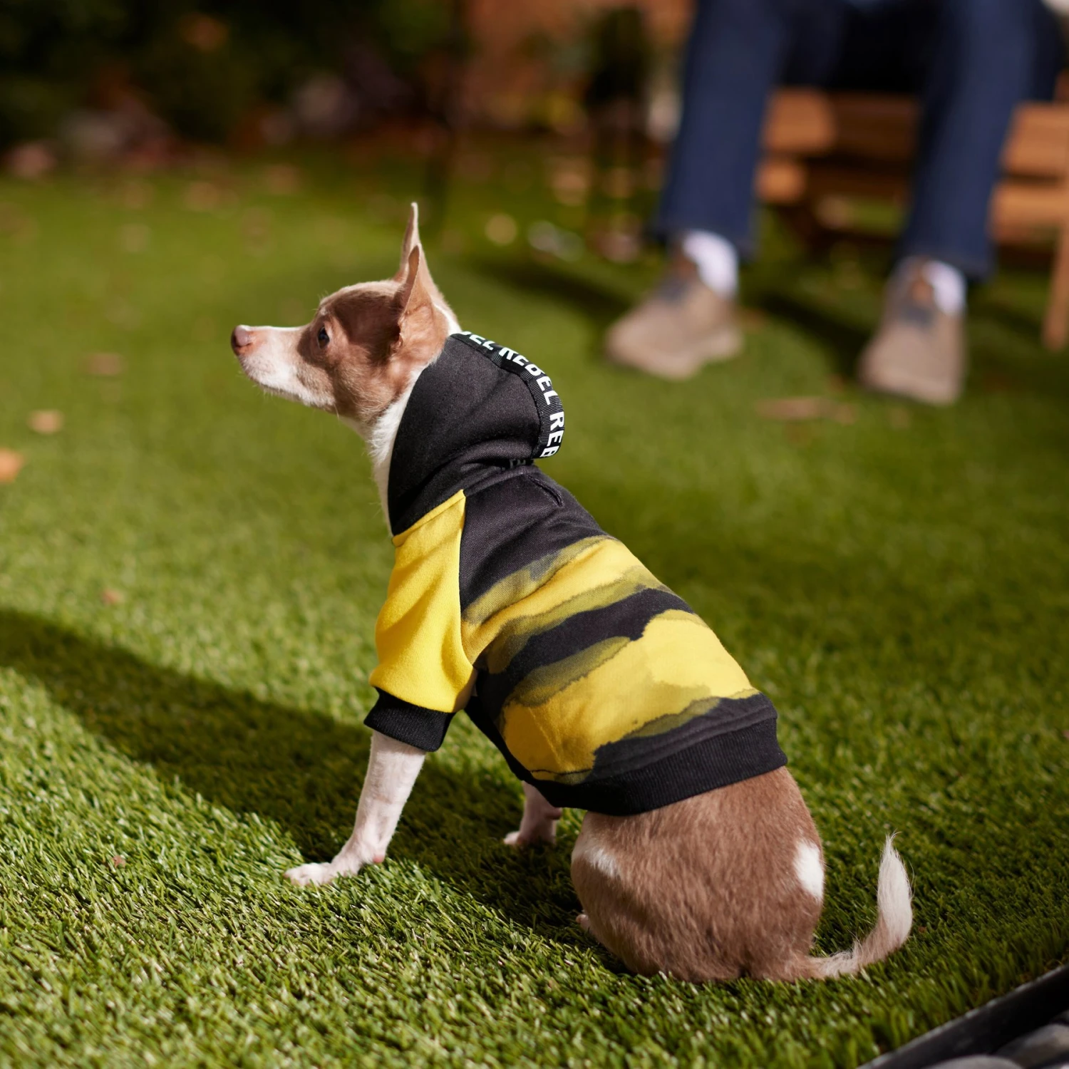 Frisco Rebel Dog & Cat Hoodie 8 Frisco Rebel Dog & Cat Hoodie - Image 8