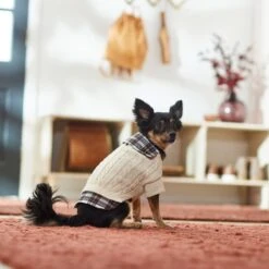 Frisco Cream Cable Knit Dog & Cat Sweater, White/Red Plaid 13 Frisco Cream Cable Knit Dog & Cat Sweater, White/Red Plaid -Meowverse Store 268057 PT8. AC SS1800 V1629766069
