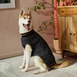 Frisco Heathered Knit Dog & Cat Sweater With 60% Recycled Content -Meowverse Store 268159 PT8. AC SS1800 V1629758773