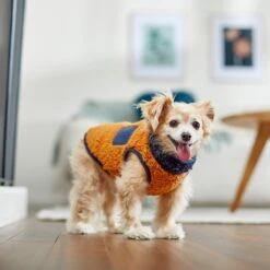 Frisco Lightweight Colorblock Dog & Cat Zippered Sherpa Fleece Vest, Blue/Brown -Meowverse Store 268191 PT8. AC SS1800 V1629759209