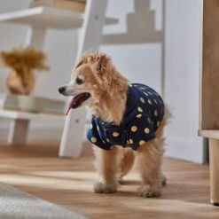 Frisco Lightweight Gold Dotted Dog & Cat Jacket, Navy -Meowverse Store 268247 PT8. AC SS1800 V1629758988